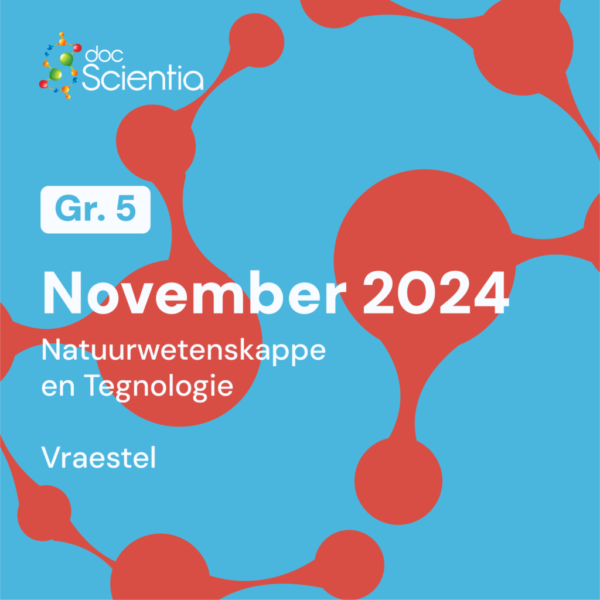 Graad 5 Natuurwetenskappe en Tegnologie November Eksamen 2024